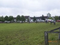 RIMG1635.jpg